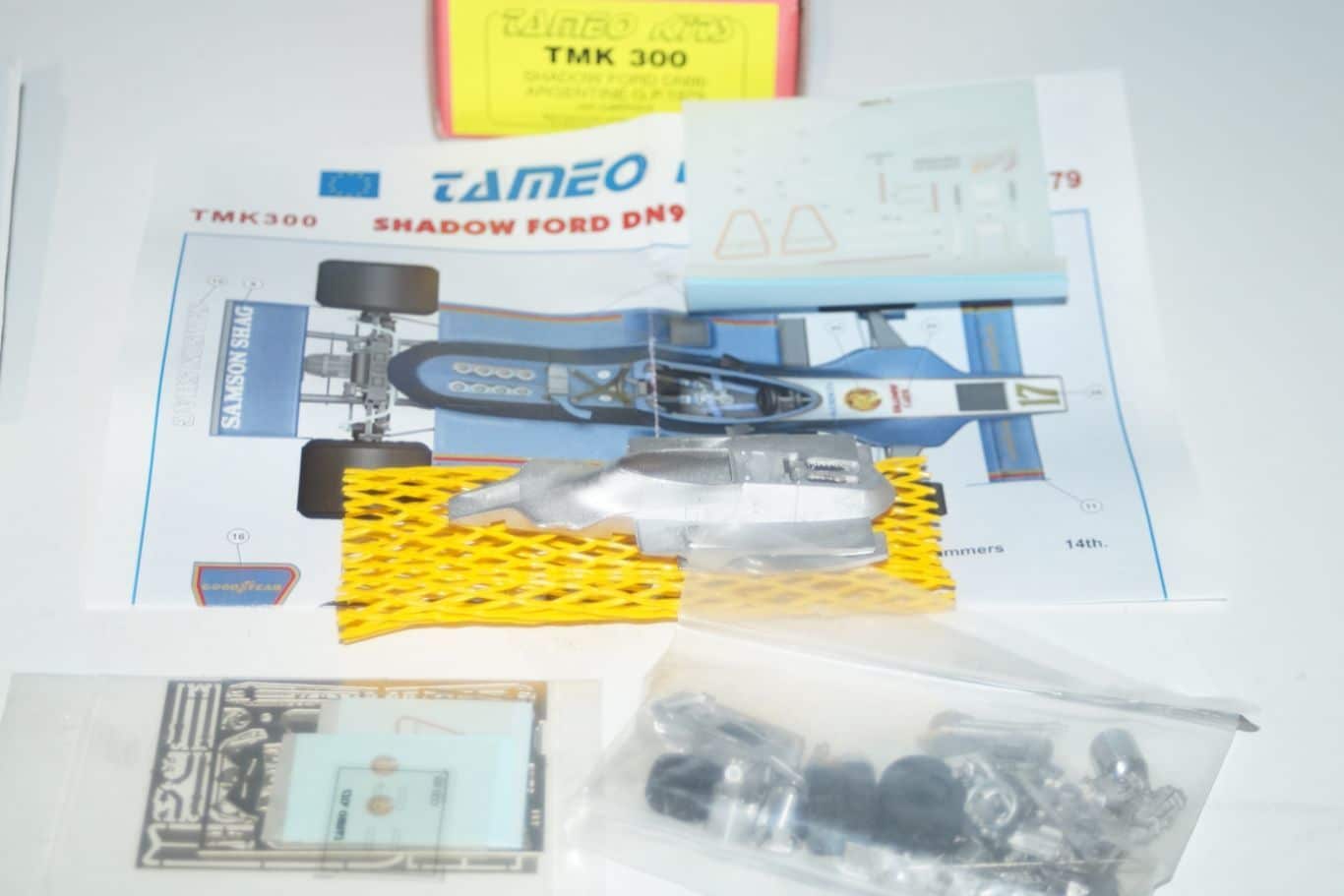 SHADOW FORD  DN 96 N° 17 J Lammers  GP Argentine 1979 Tameo TAMEO KITS- TMK 300 