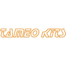 Tameo indy cars