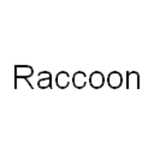 raccoon