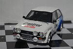 Otto ford fiesta mk1 1600 gr2 rallye monte carlo 1979 1:18 ot894