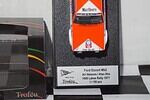 Trofeu Ford Escort A.Vatanen 1000 Lakes Rally 1977 1:43rd Scale RR.fi 15