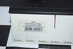 Trofeu ford escort mk2 acropolis 1980 vatanen 1:43rd ref 1009