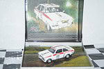 Trofeu ford escort mk1 duckries rally 1972 r.clark 1:43rd brl05