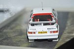 Trofeu ford escort mk1 duckries rally 1972 r.clark 1:43rd brl05