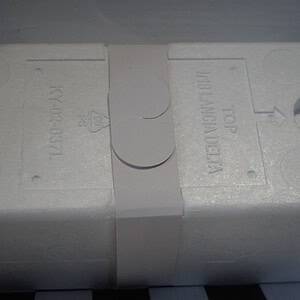 Dsc00875